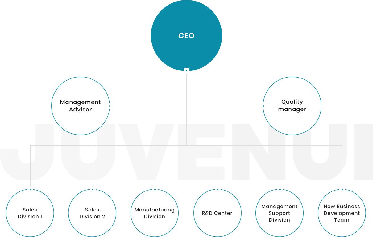 CEO, Management Advisor, Quality manager, Sales Division 1, Sales Division 2, Manufacturing Division, R&D Center, Management Support Division, New Business Development Team